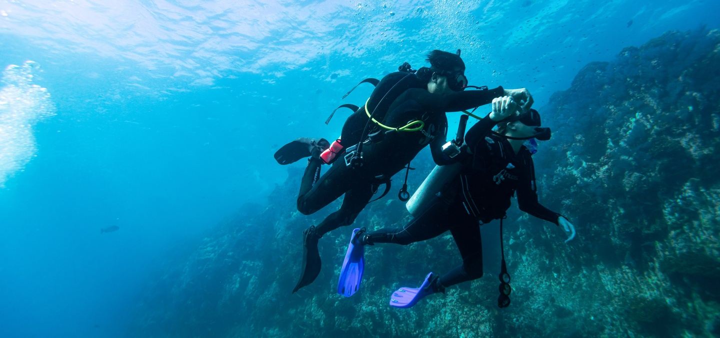 Discover scuba diving in Cabo. in cabo san lucas, mexico