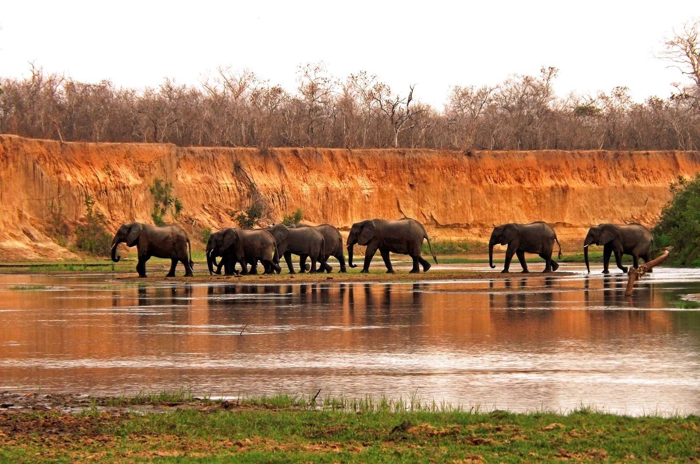 3 DAYS NYERERE NATIONAL PARK(SELOUS)