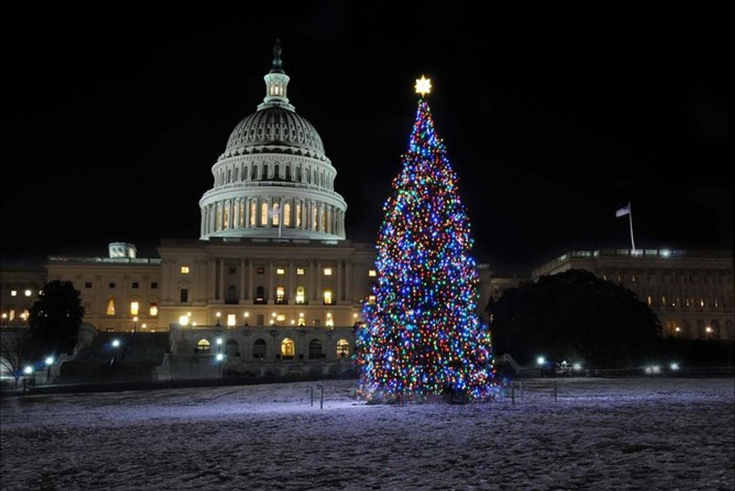 Capital Christmas