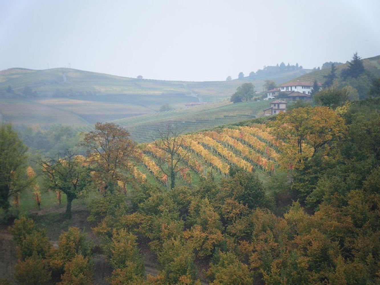 Secrets of Northern Italy: Piedmont