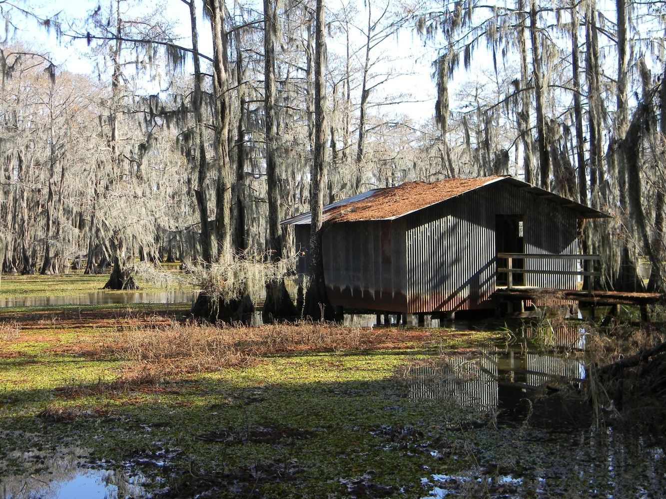 Mysteries of the Bayou: Louisiana Cajun Country
