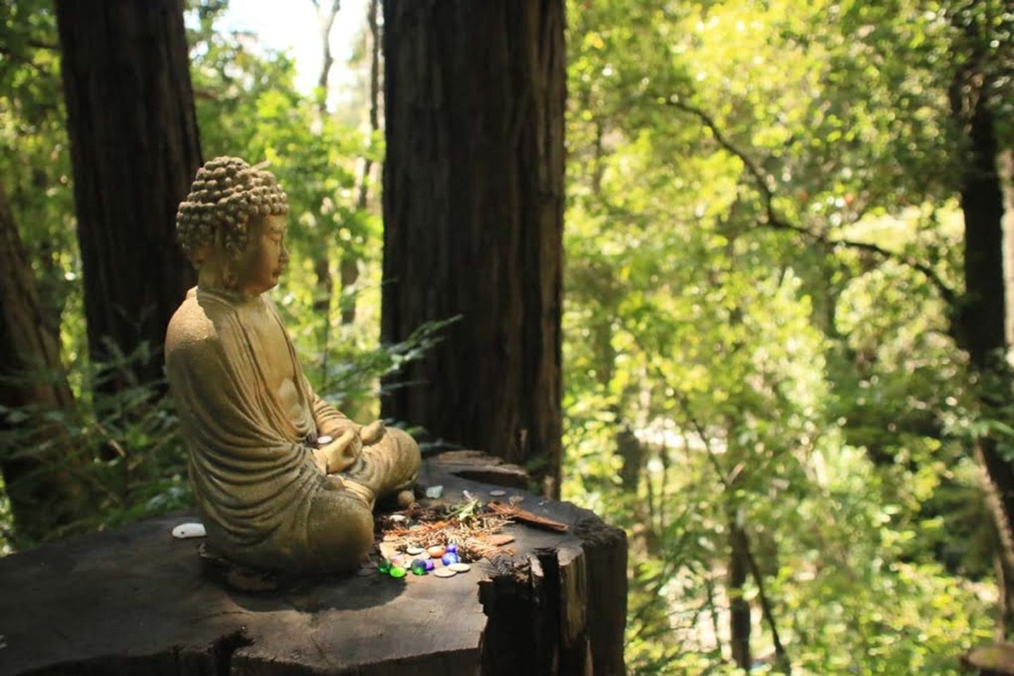 Santa Cruz Retreat with Sound Meditation by Anderson & Ellian Pugash