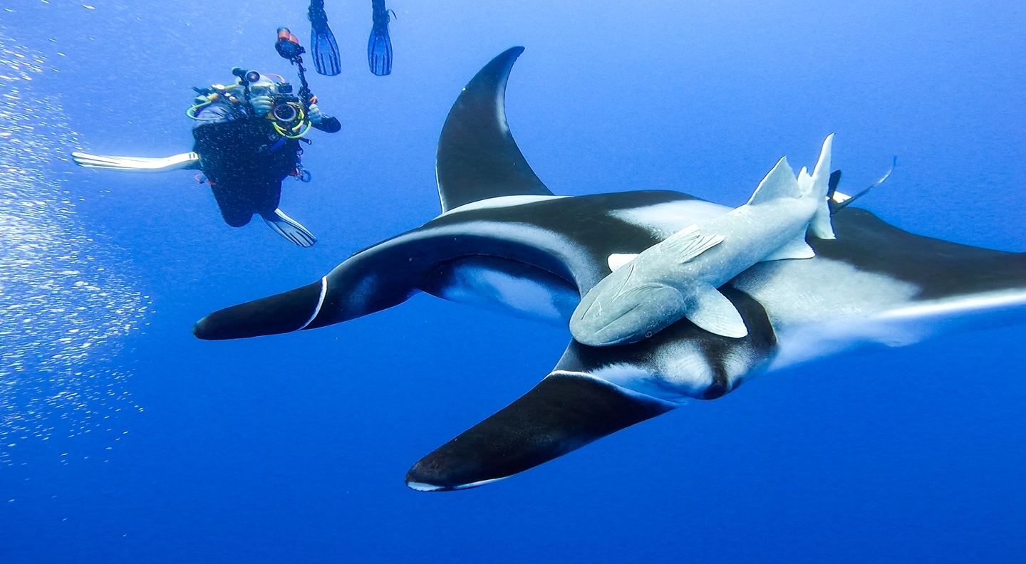 Scuba Diving La Ventana