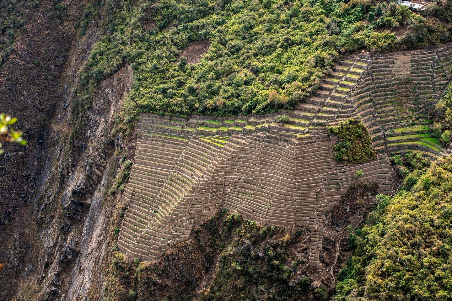 Run to Machu Picchu Peru Runcation Spring 2024