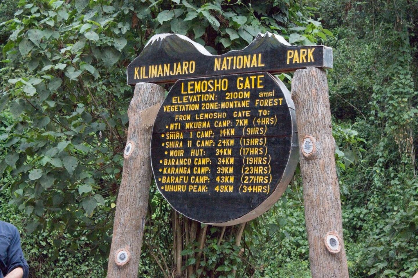 7 Days Kilimanjaro tour by Lemosho route