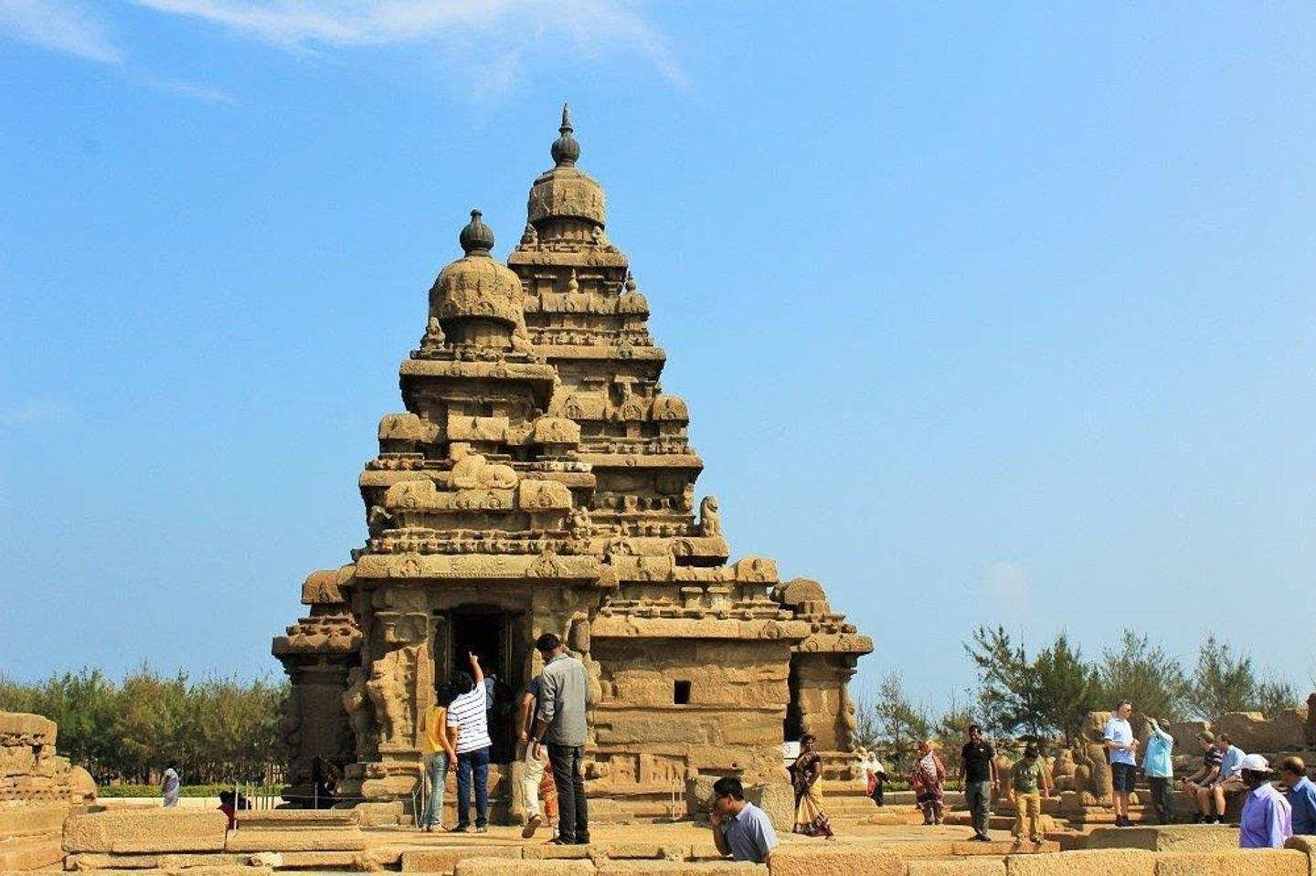 Archaeologist curated Mahabalipuram Trip