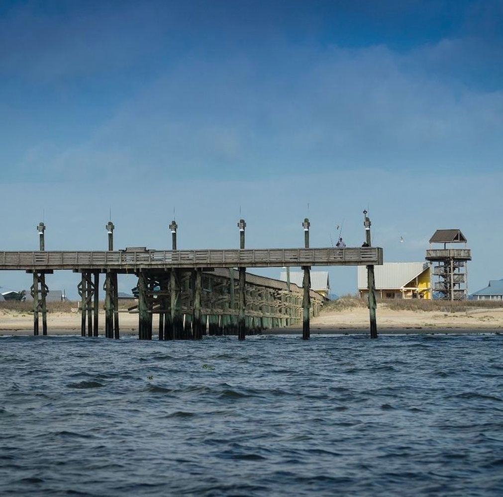 Spring Migration and Cajun Food, Grand Isle, LA 2023 in Grand Isle, LA, USA