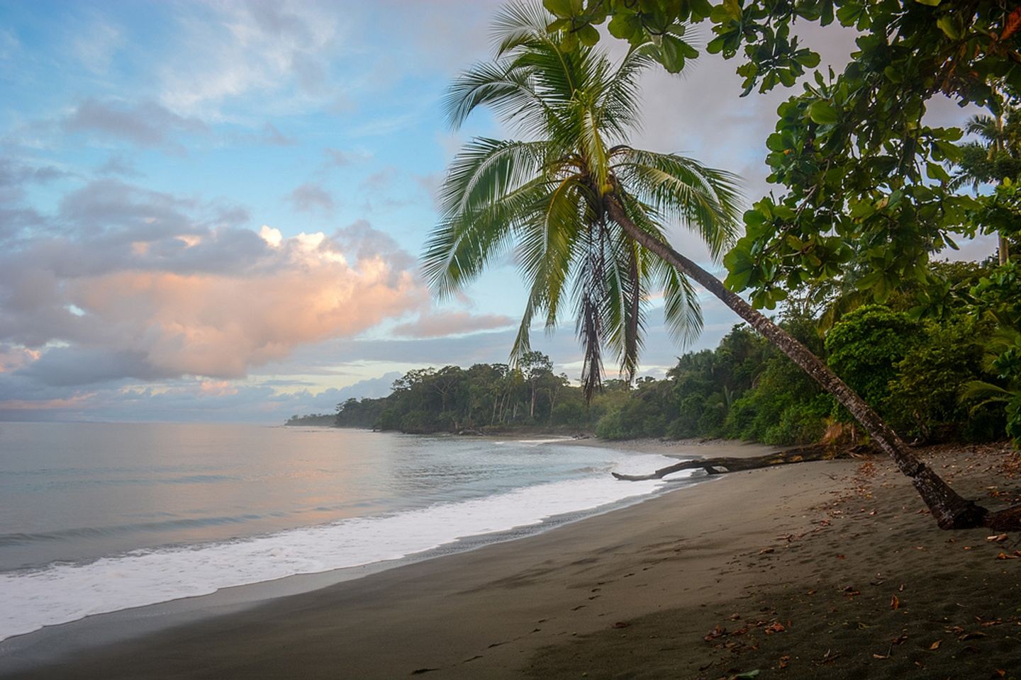 Wild Soul Retreat in Costa Rica | Yoga, Pilates, Breathwork, Adventure