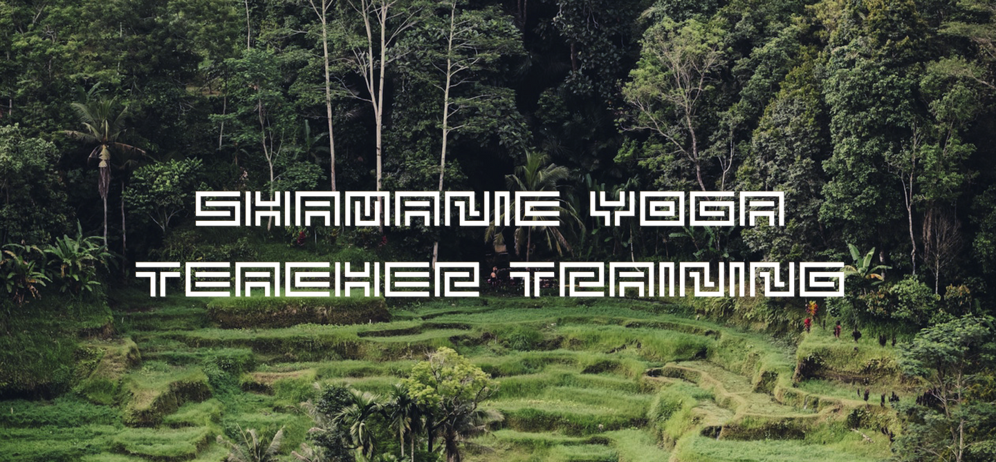 Shamanic Yoga Teacher Training Nov 12 2019
