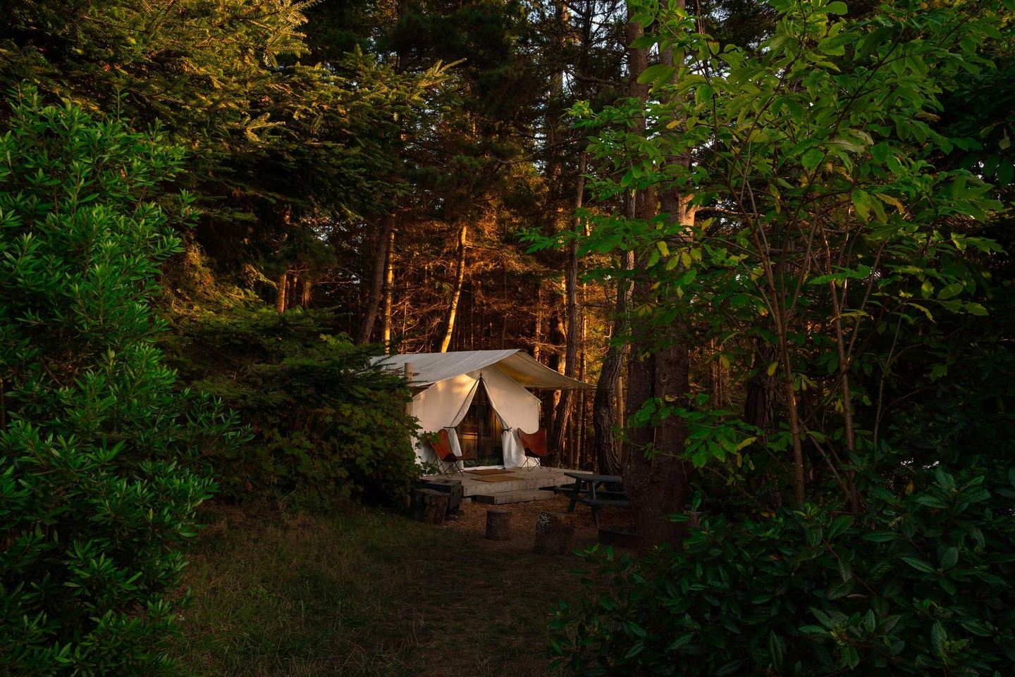 Mendocino Grove Summer Solstice Yoga Retreat