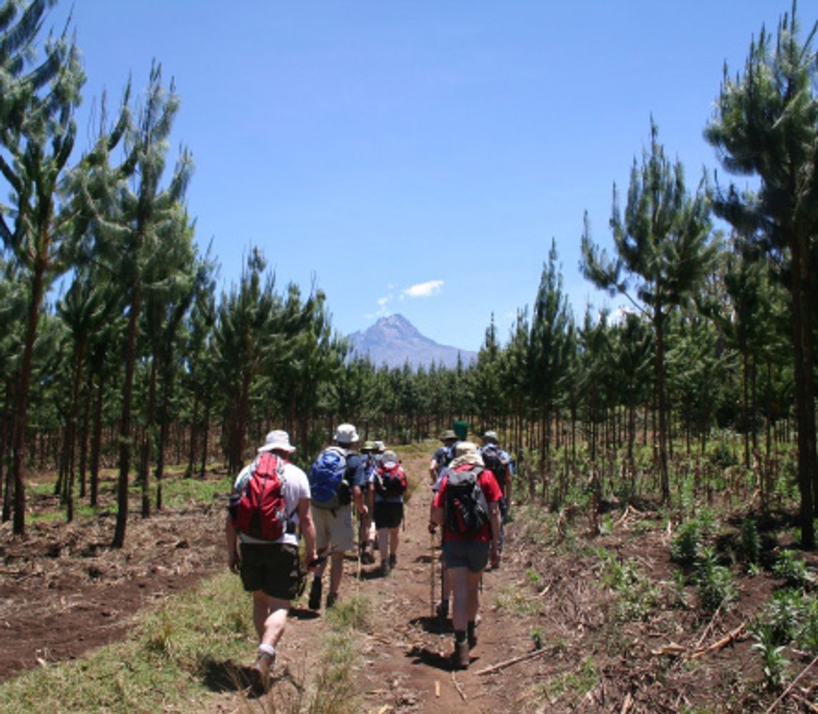 6 days for Trekking Kilimanjaro cost via Rongai route