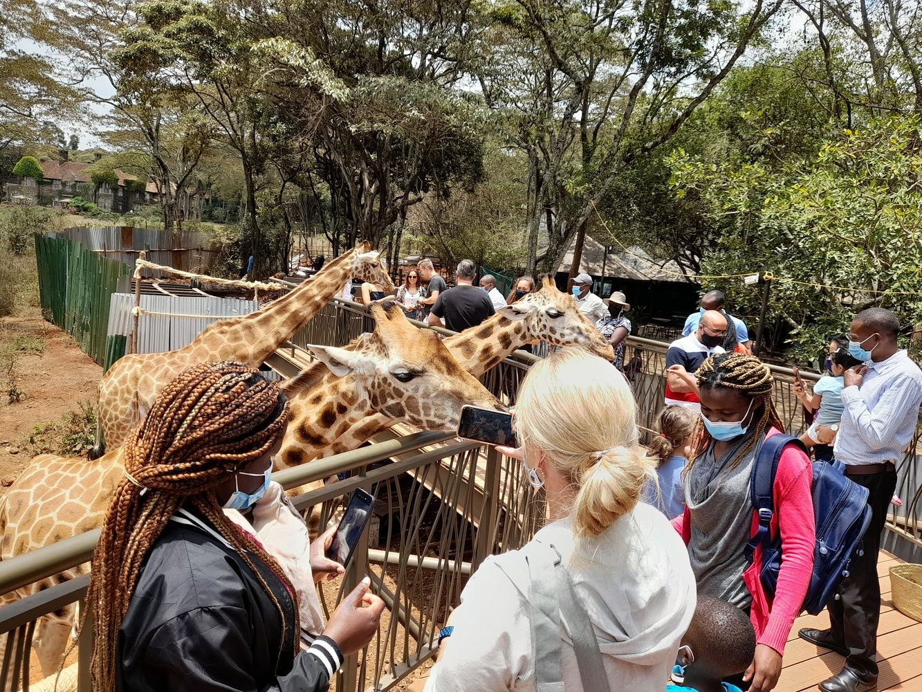 Nairobi National Park,  Sheldrick Elephant Orphanage, Giraffe Center