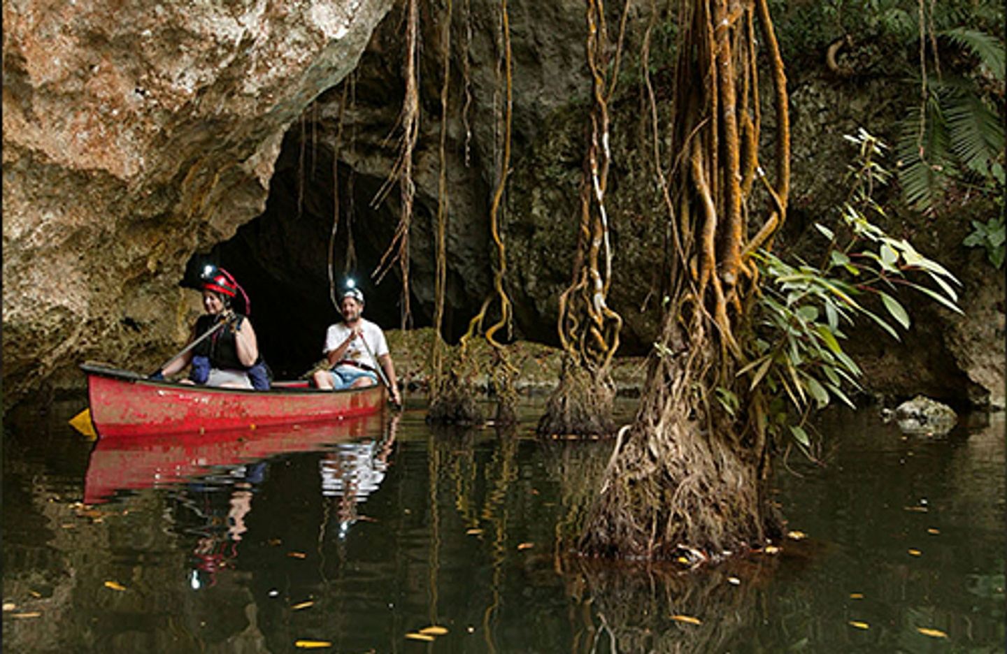 Canoeing Adventure on the Macal River