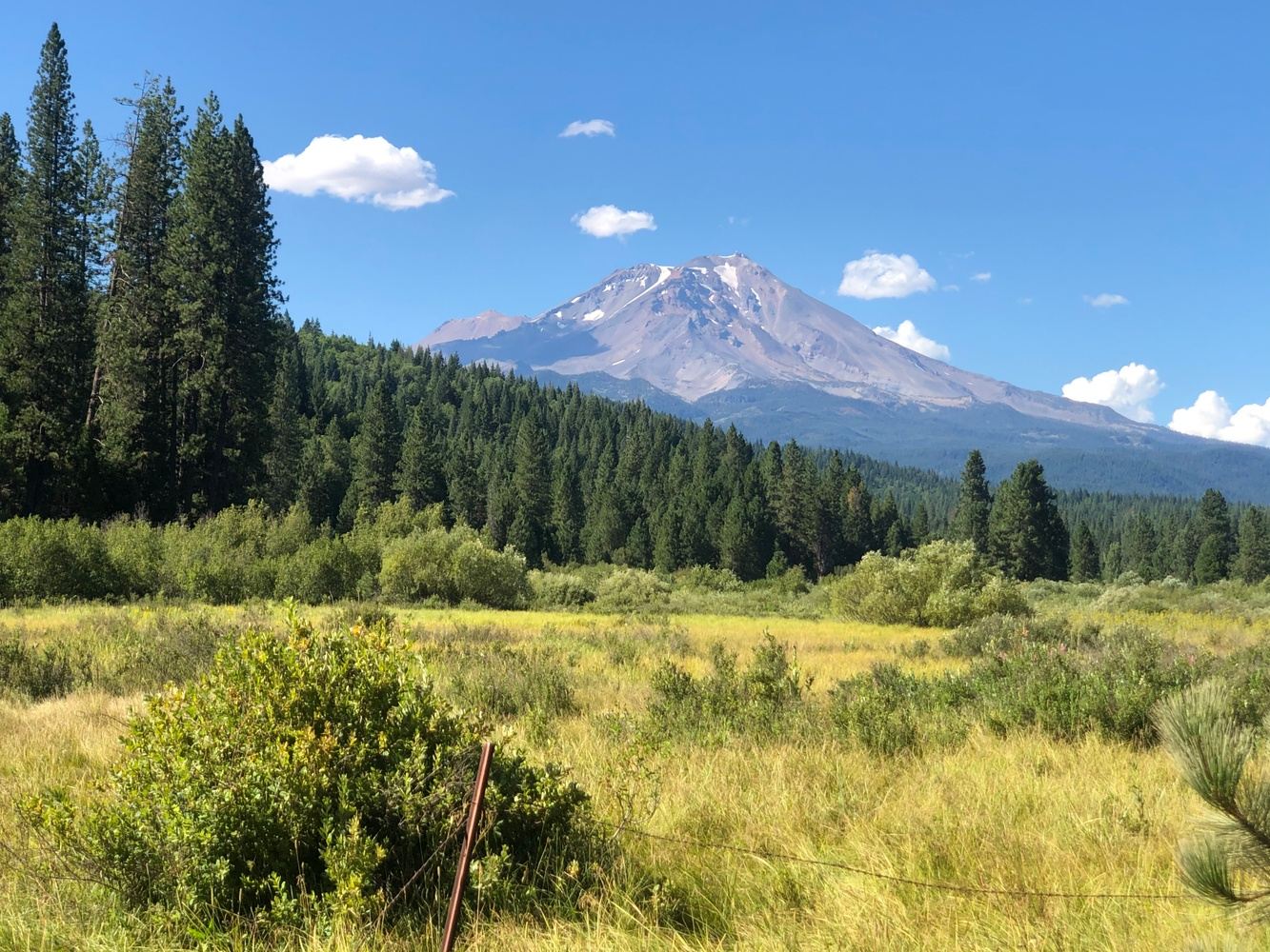 Mount Shasta Lemurian Activation Retreat August 2024