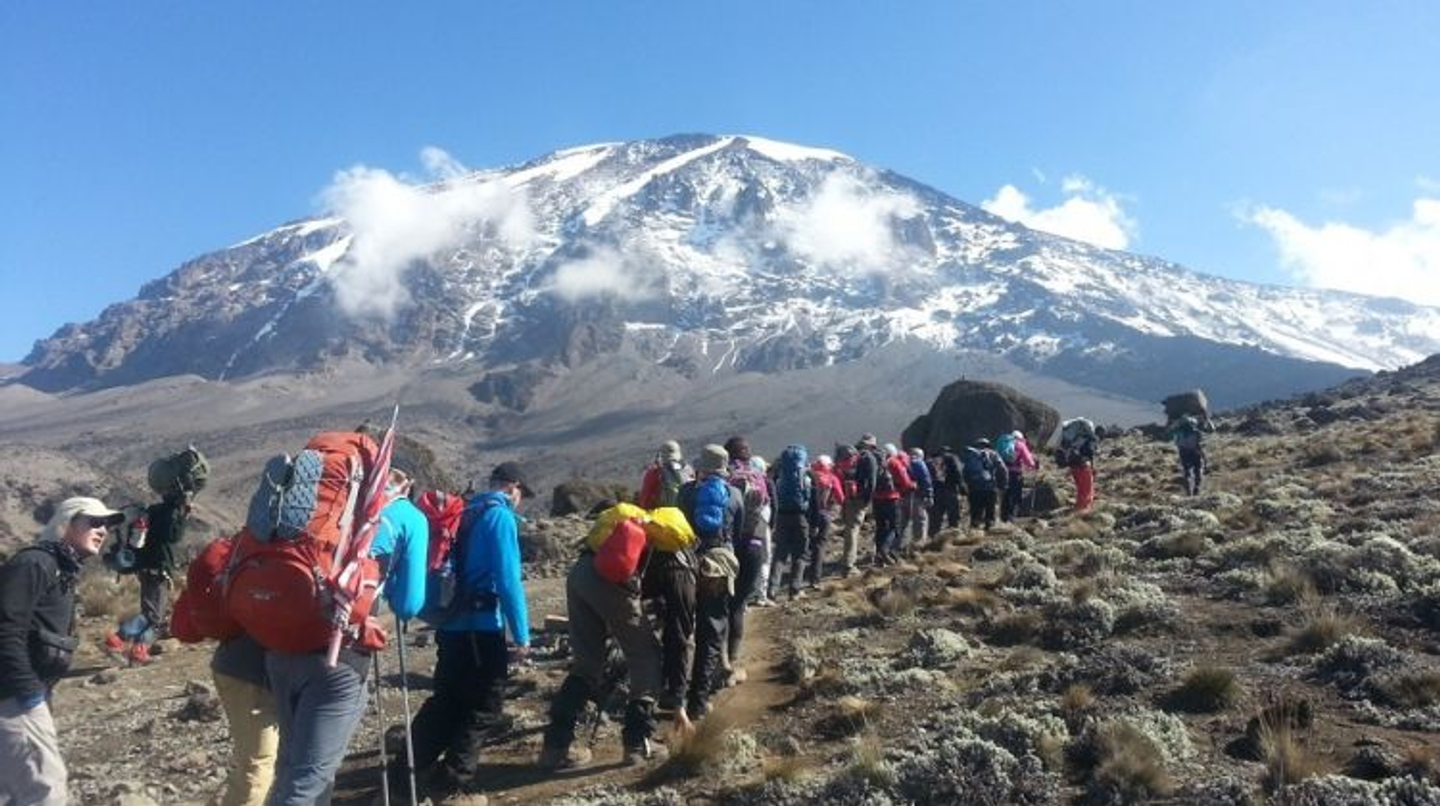 7 Days Machame Route Kilimanjaro climbing