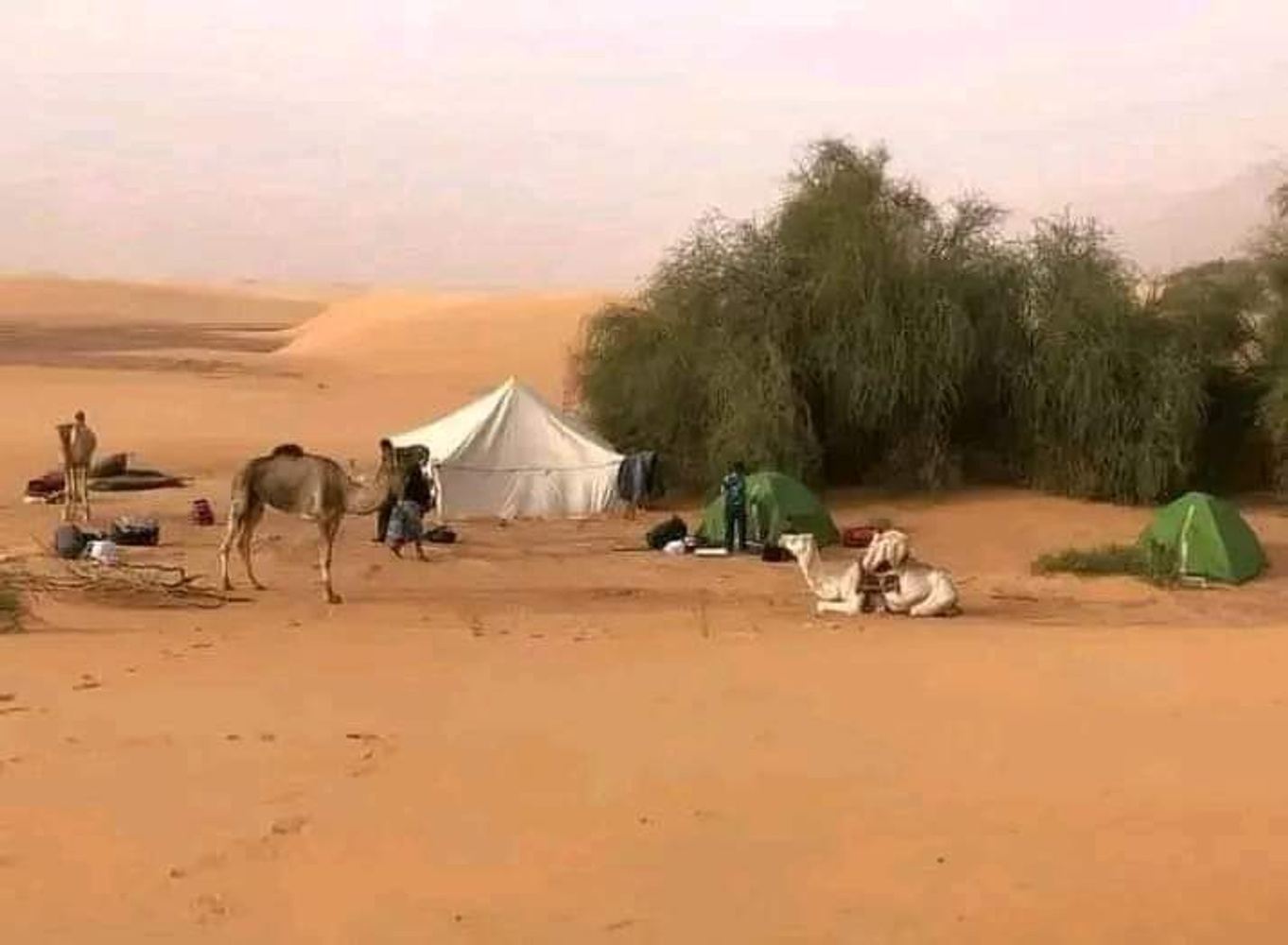 Tour in Mauritania 🇲🇷