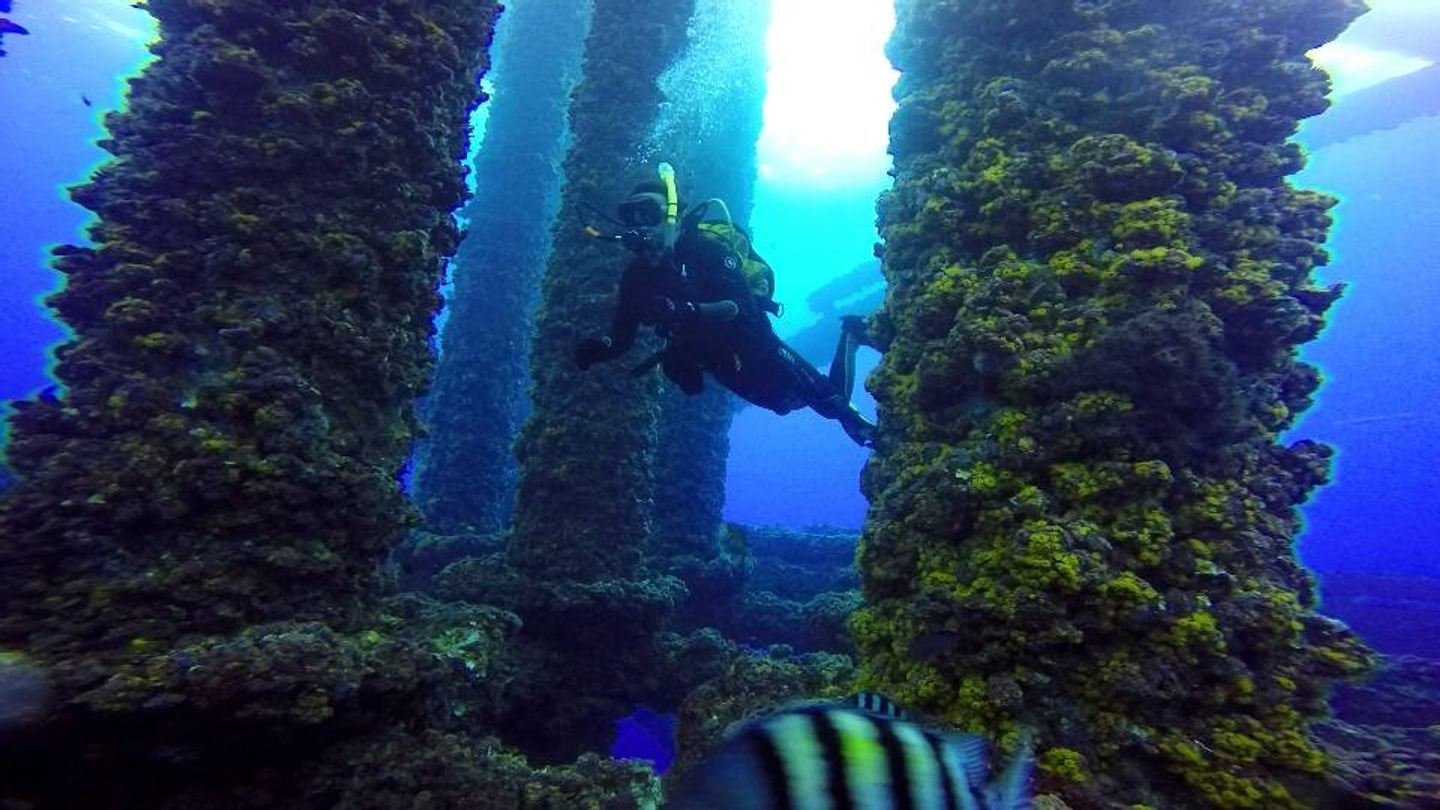 Local Rig Diving 2025