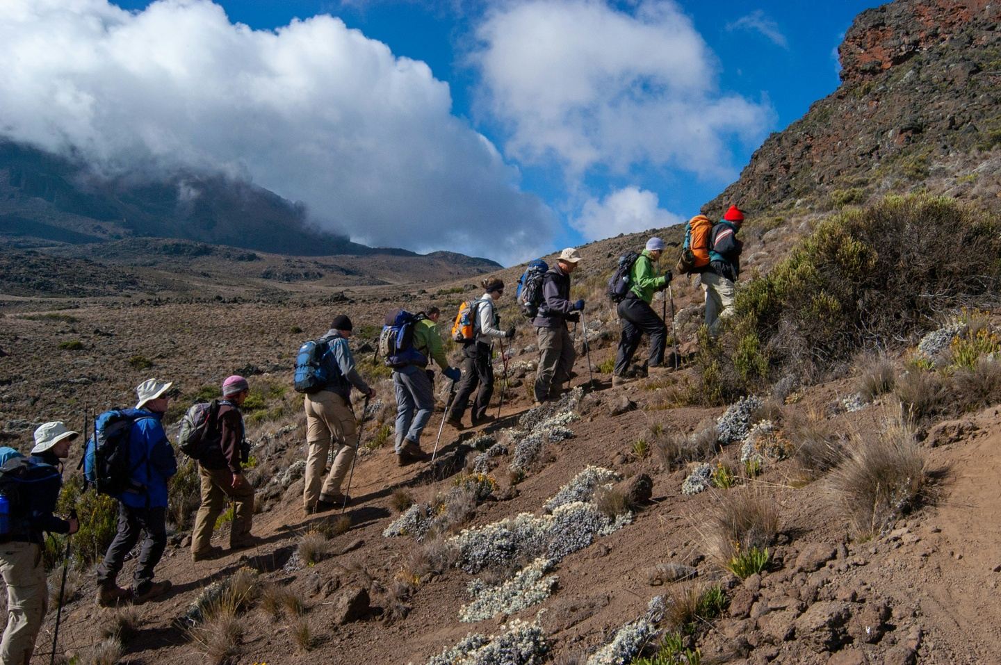 14 Days Peaks to Plains: Lemosho Route Kilimanjaro Trekking & Safari