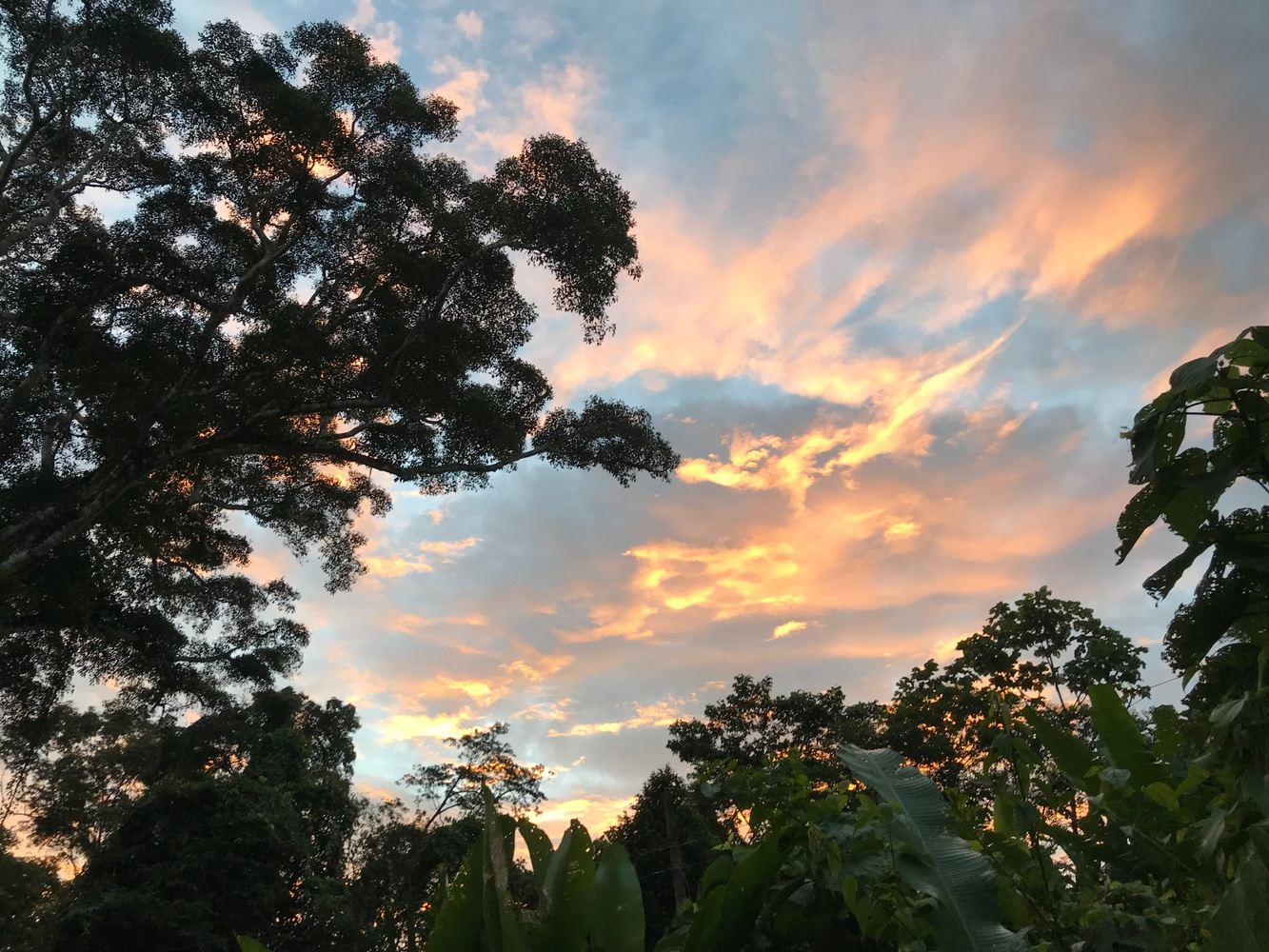 Sounds of Ecuador - Andes to the Amazon