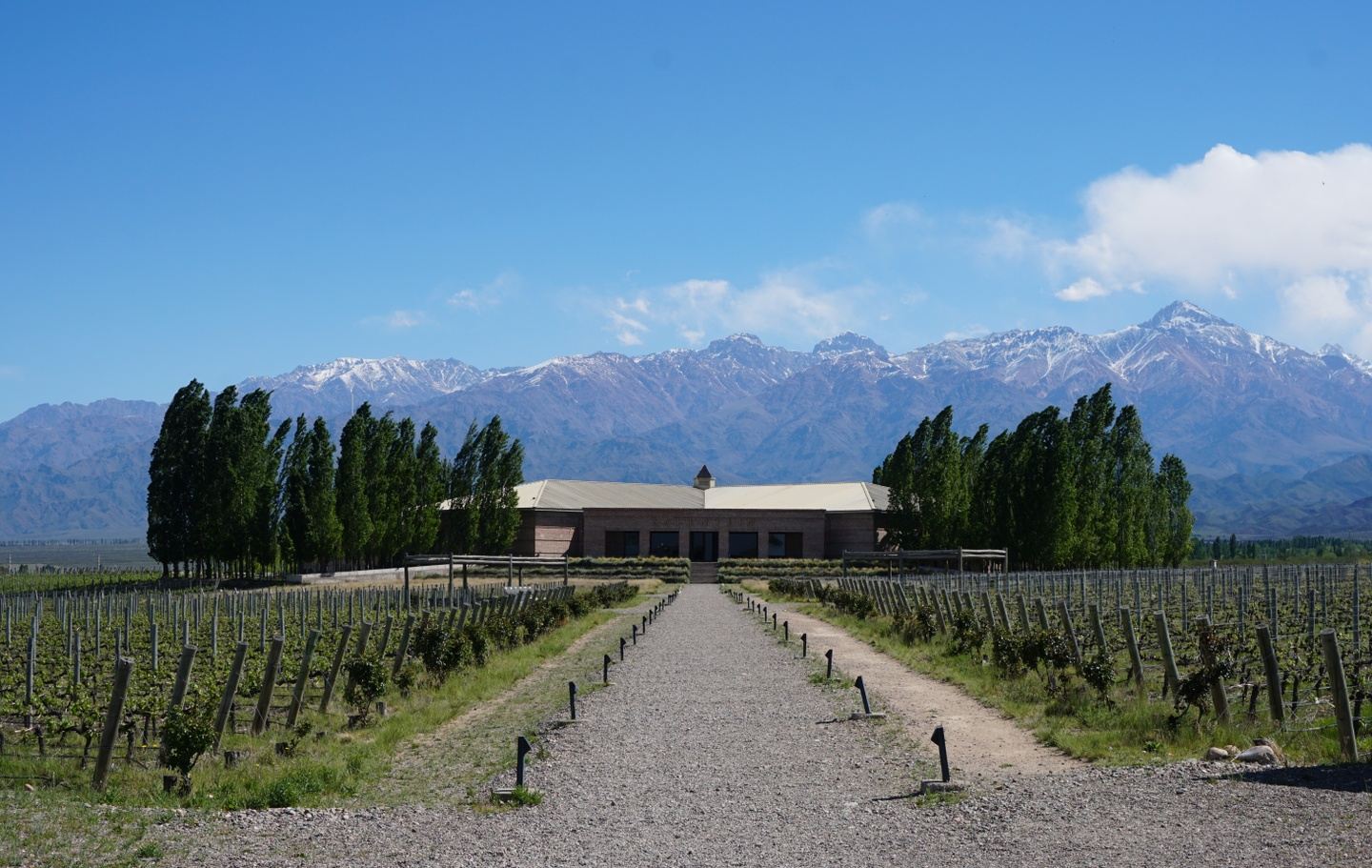 Mendoza FULL EXPERIENCE! Mountains, Wine Region and Adventure Sports
