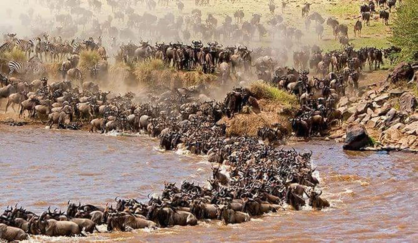 Tanzania wildlife adventure