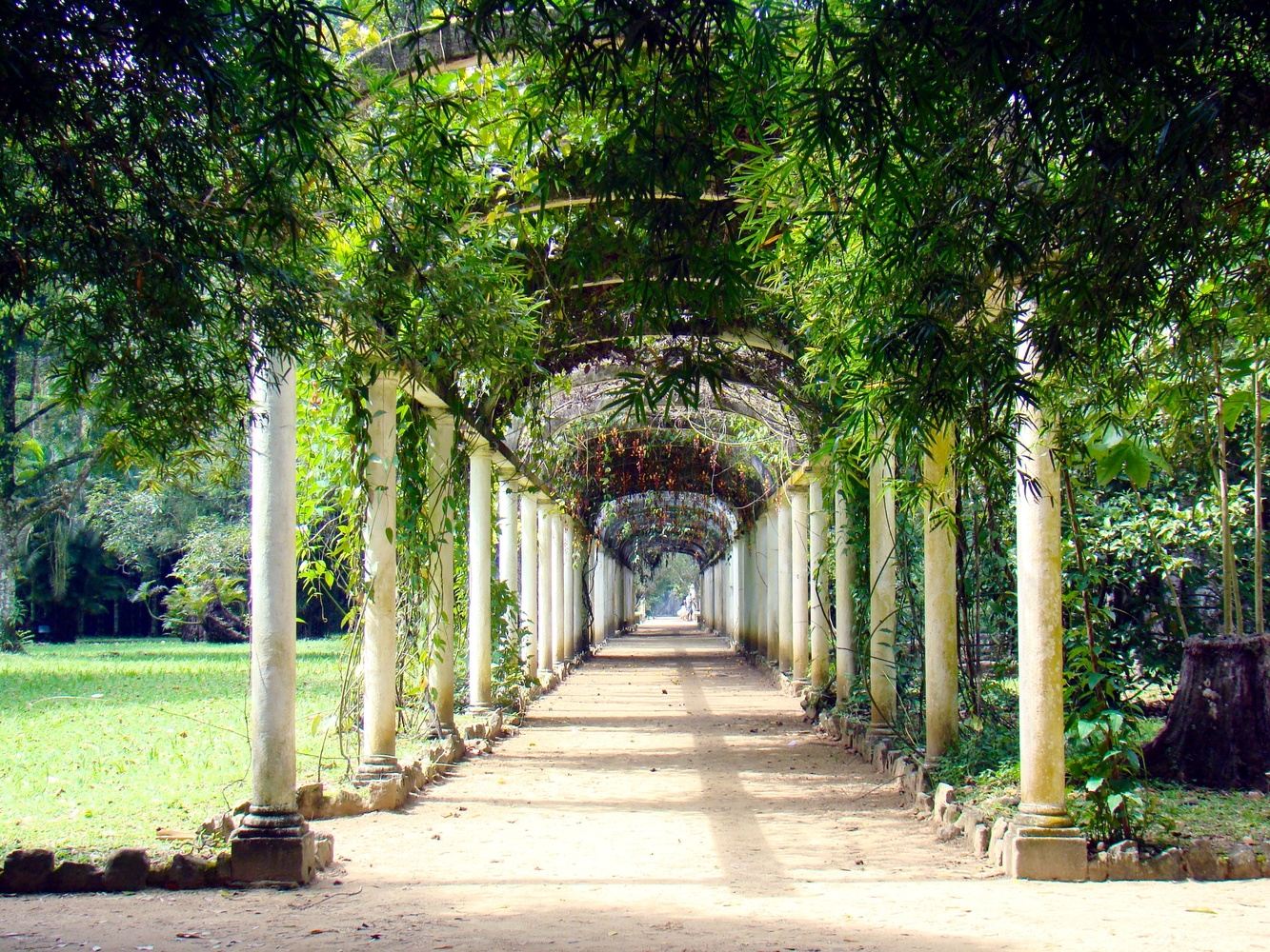 FD Tour Parque Lage + Jardim Botânico + São Conrado + HSTERN