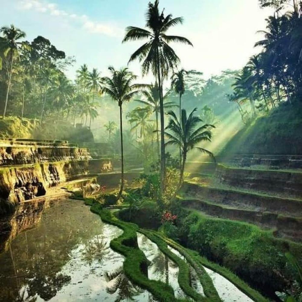Bali - Ideální dovolená