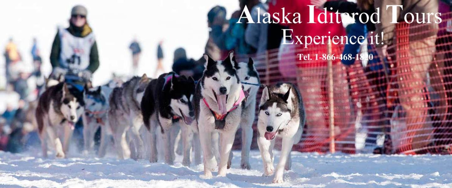 Iditarod Race Start and McGrath Checkpoint Tour