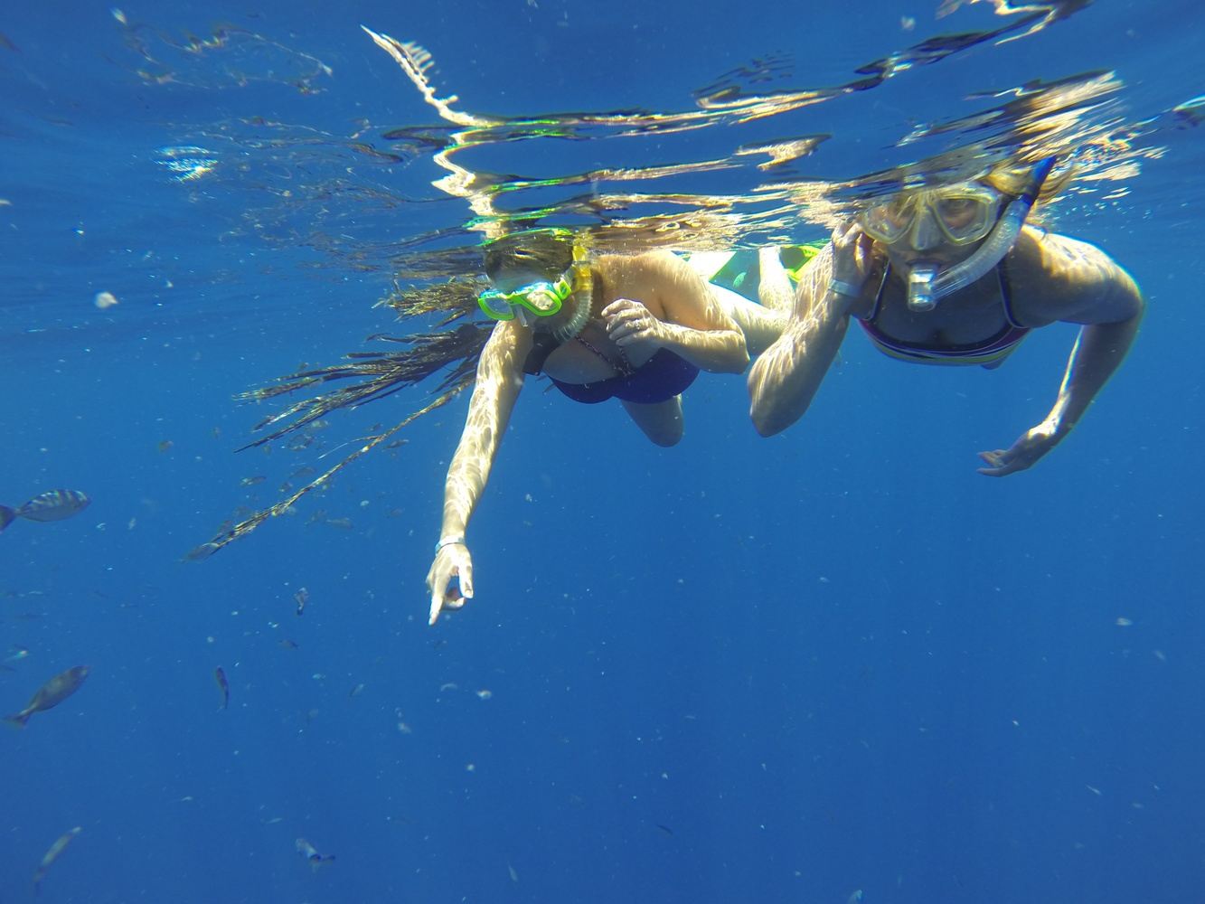 KAYAK & SNORKEL ADVENTURE in Mazatlán, Sin., México