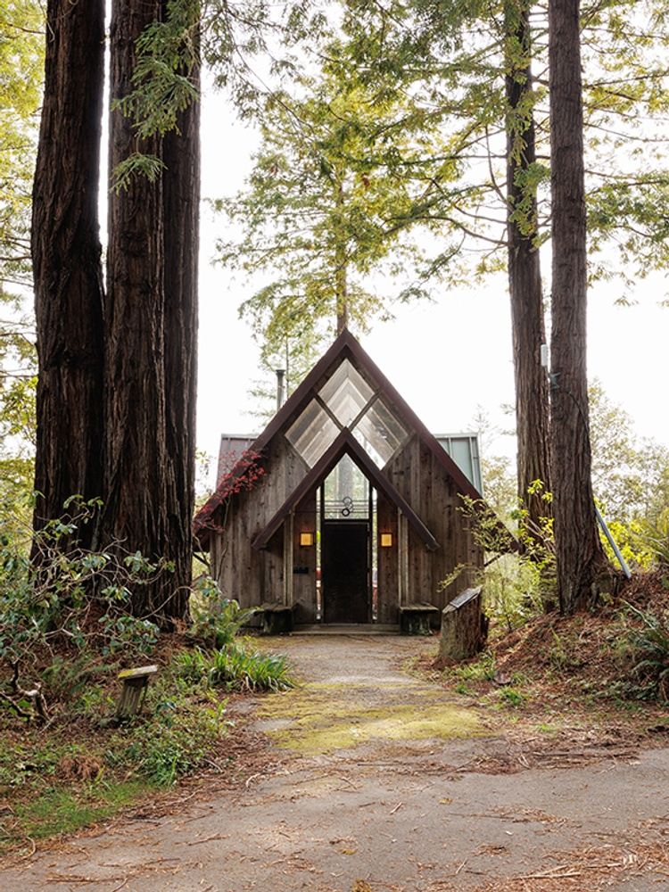 Rooted in Love ~ A Bhakti Flow Redwoods Retreat