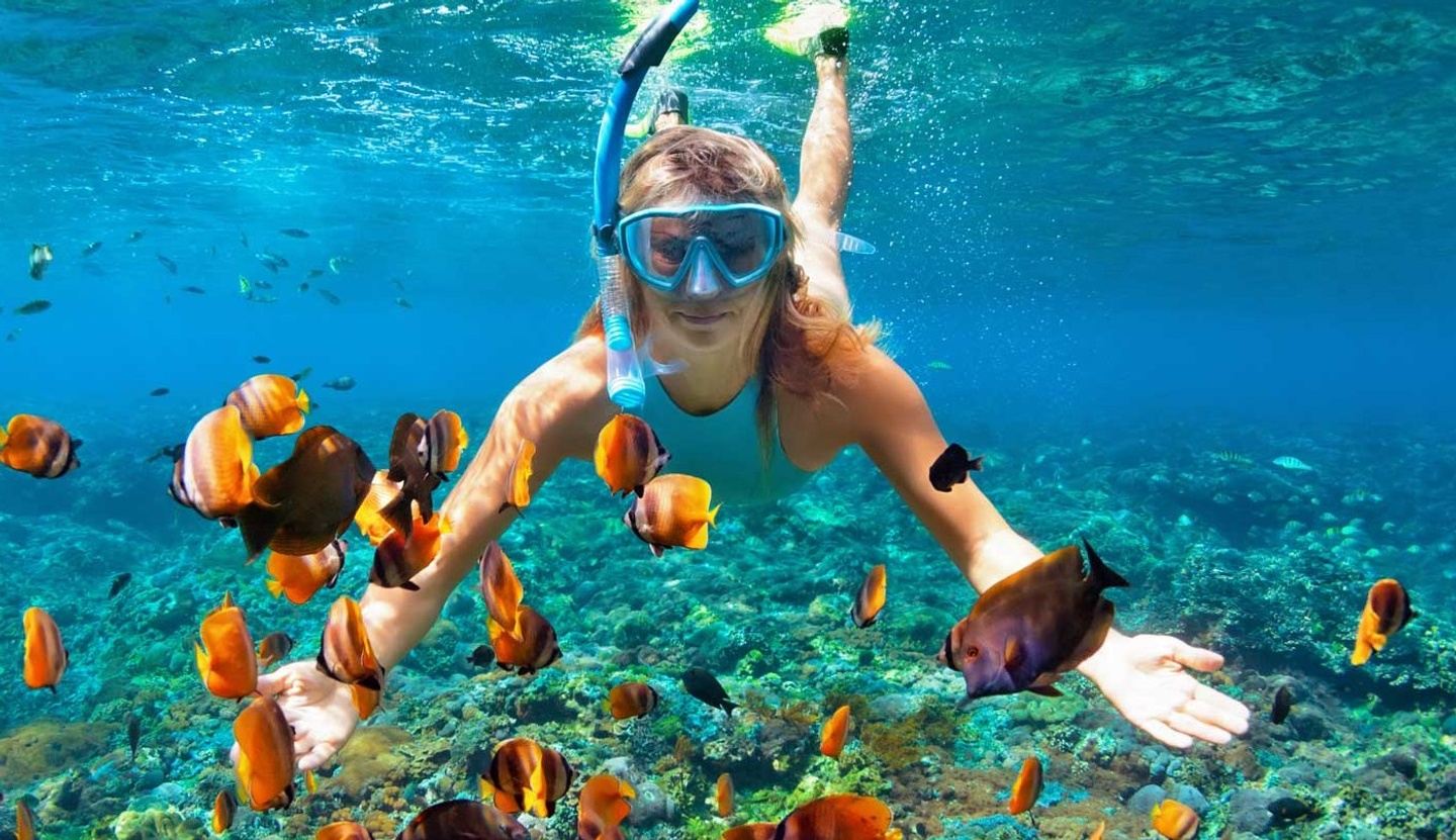 Snorkeling 101 - Fun Fun Fun!