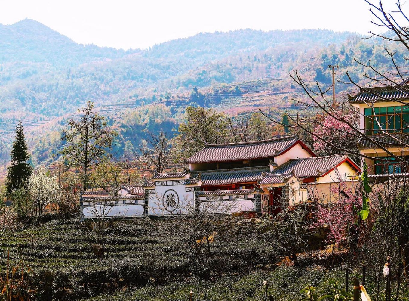 10 days tea expedition to Yunnan, China