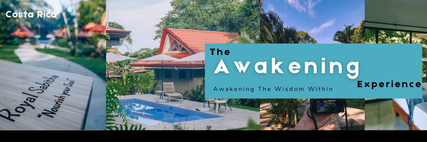 The Awakening Experience: Awakening The Wisdom Within