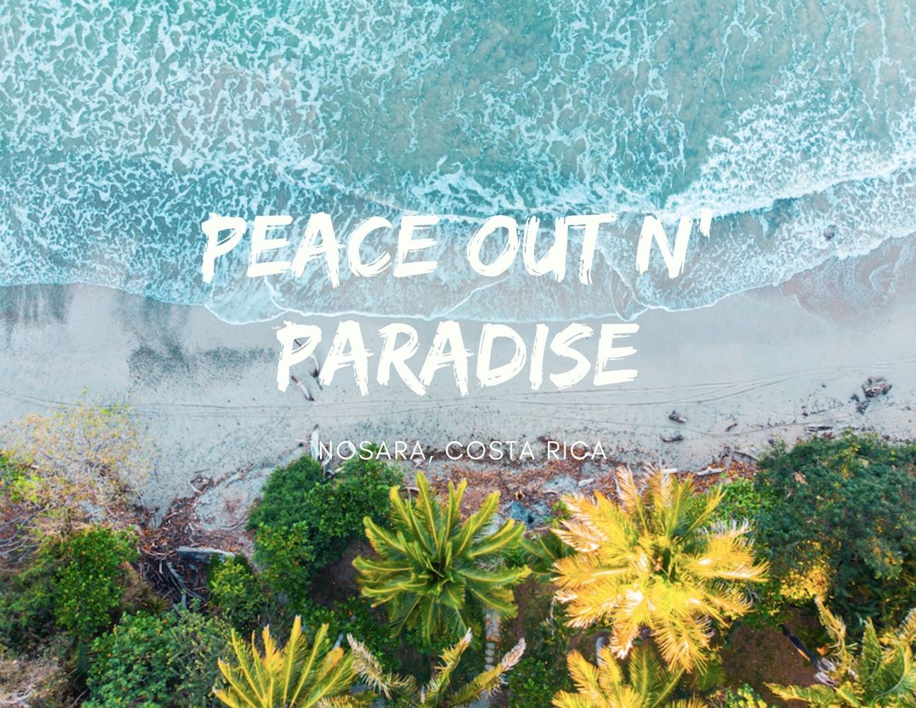 Peace Out n' Paradise 2025