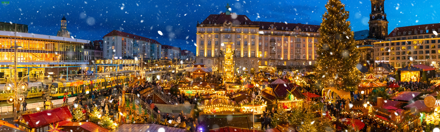 German Christmas Markets! *FEMALE ONLY*