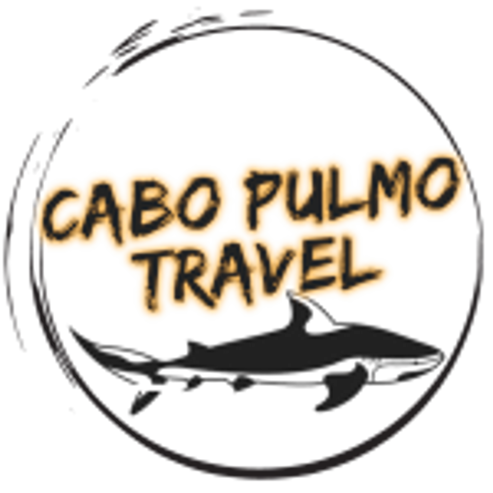 Snorkeling From San Jose Del Cabo & Cabo San Lucas in Cabo Pulmo, BCS