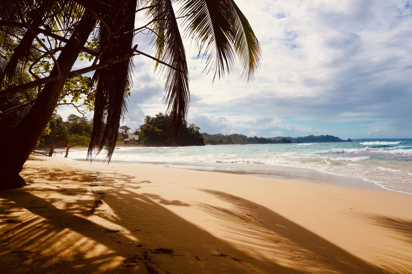 Panama: Coral Restoration Week