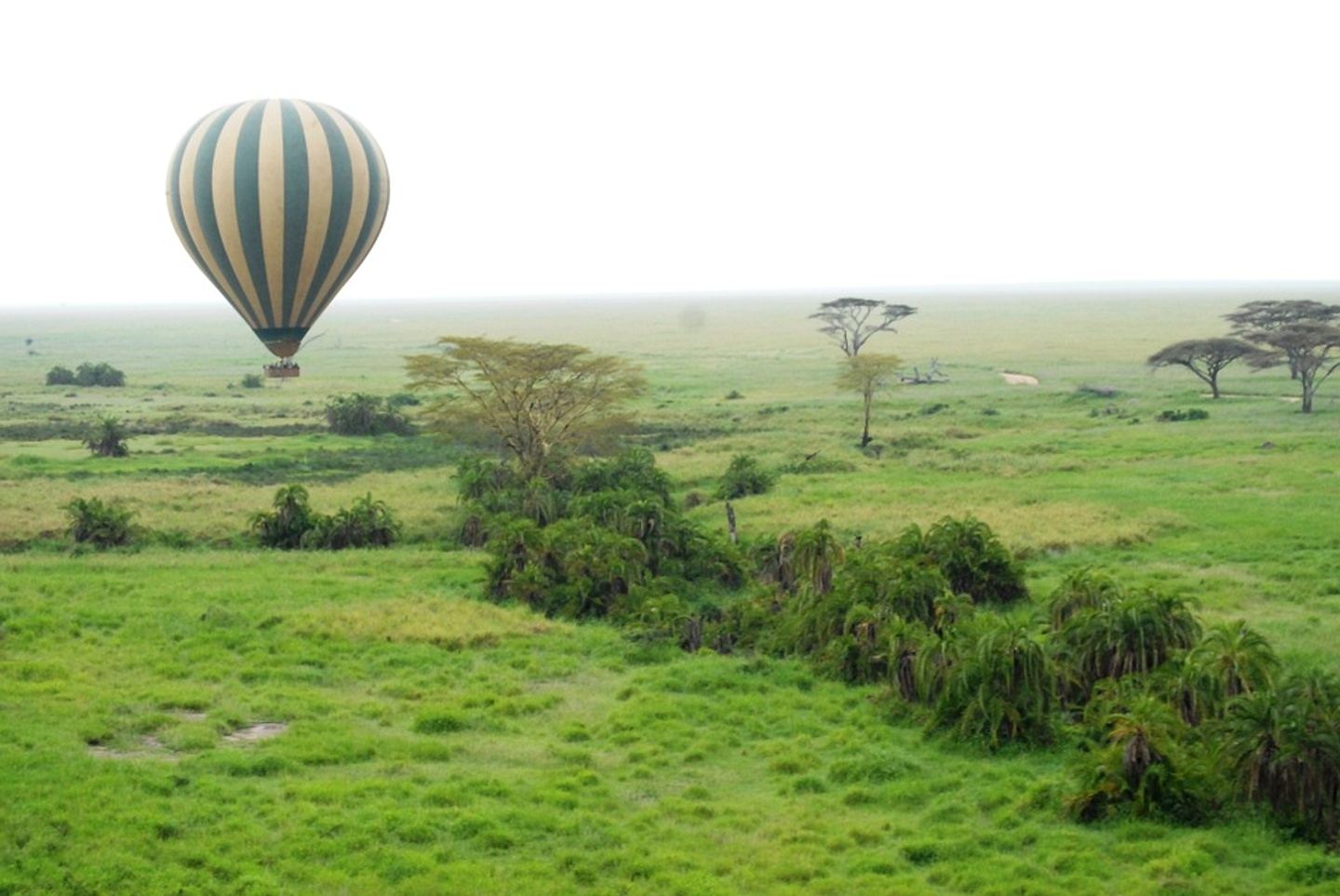 3 Days Tanzania Safari featuring Ngorongoro and Serengeti