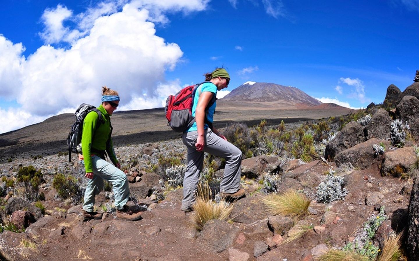 5 DAYS | 4 NIGHTS KILIMANJARO HIKING TOUR