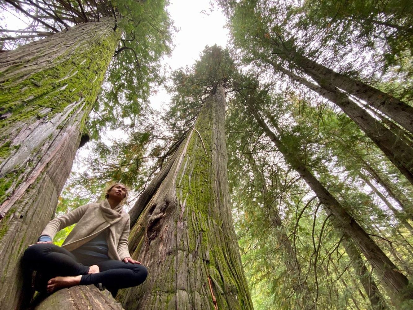 Elisa M. // Shared Tent // YTT200 Program Off-Grid In The Kootenays