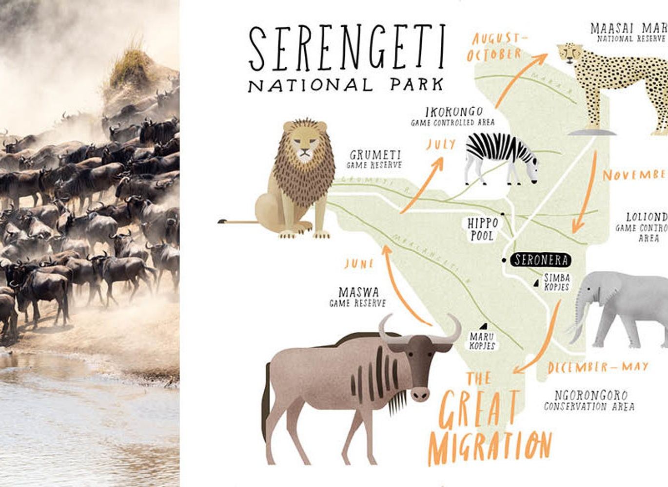 3-Day Fly in/out Luxury Safari-Serengeti National Park