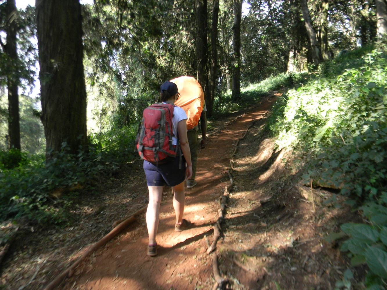 7 Days Lemosho Route – Kilimanjaro climbing tour