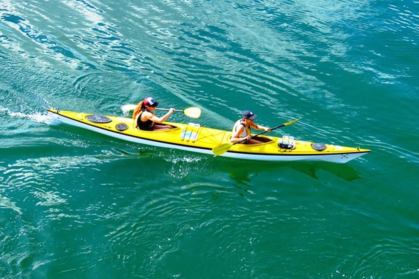 Marina Del Rey: Kayak and Paddleboard Tour with Sea Lions in Los