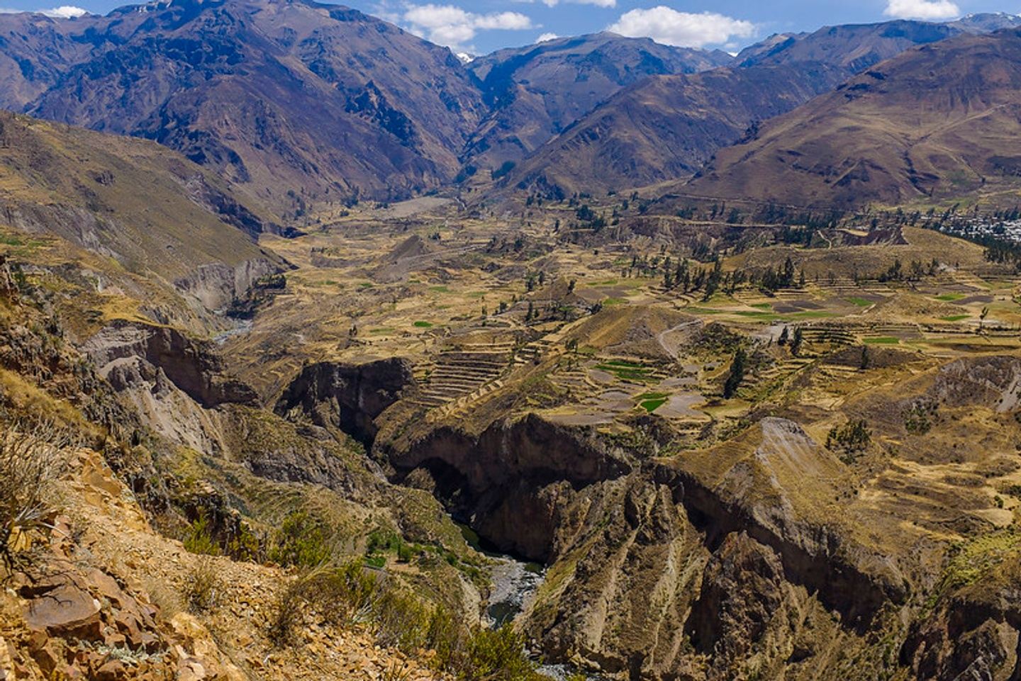 FULL DAY COLCA CANYON FROM AREQUIPA