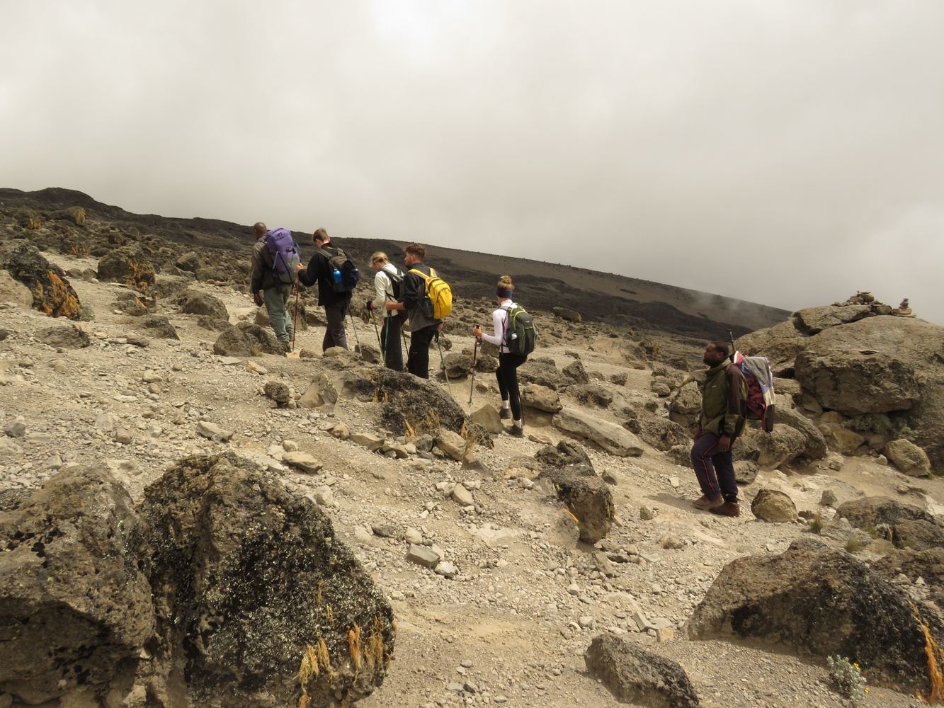 Lemosho route 8 days adventure Kilimanjaro trek