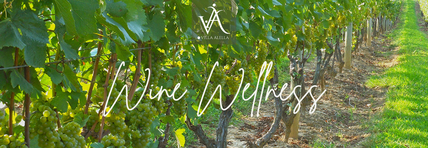Wine Wellness Weekender with new friends