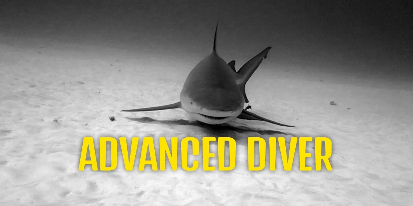 Pasku Dive - Advanced Diver Course