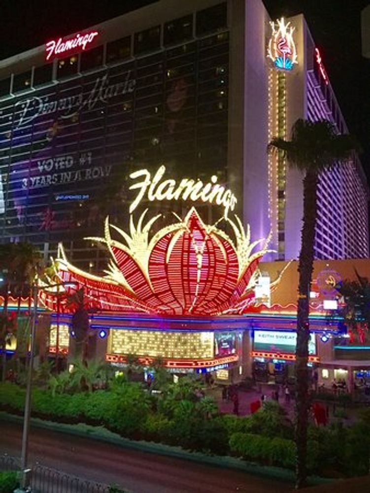 FLAMINGO HOTEL & CASINO LAS VEGAS