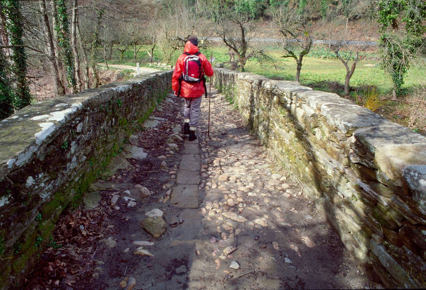 Image 25