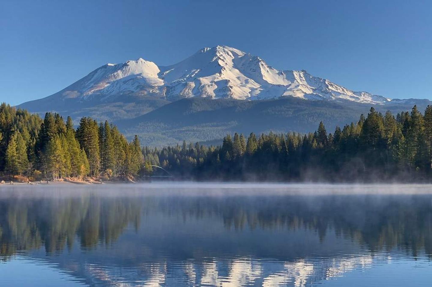 Wellness Retreat - "Grief & Healing"